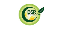 org-we-serve6